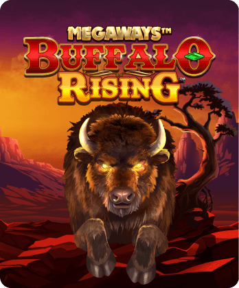 Buffalo Rising Megaways All Action